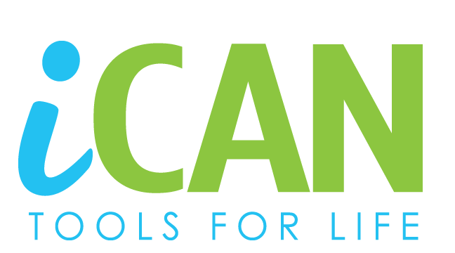 walker and wheelchair combo